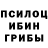 Галлюциногенные грибы MAGIC MUSHROOMS Muchacho Radrigez