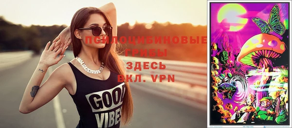 ALPHA PVP Покачи