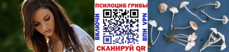 Псилоцибиновые грибы прущие грибы  Арск 